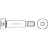 ISO 7379 Tornillo Pasador Con Hexágono Interior Acero / Sin Acabado 12.9 f9