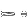 DIN 7513f Tornillo Autorroscante Cabeza Abombada Zincado 
