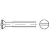 DIN 964 Tornillo Cabeza Avellanada Abombada Elevada Con Ranura Zincado 